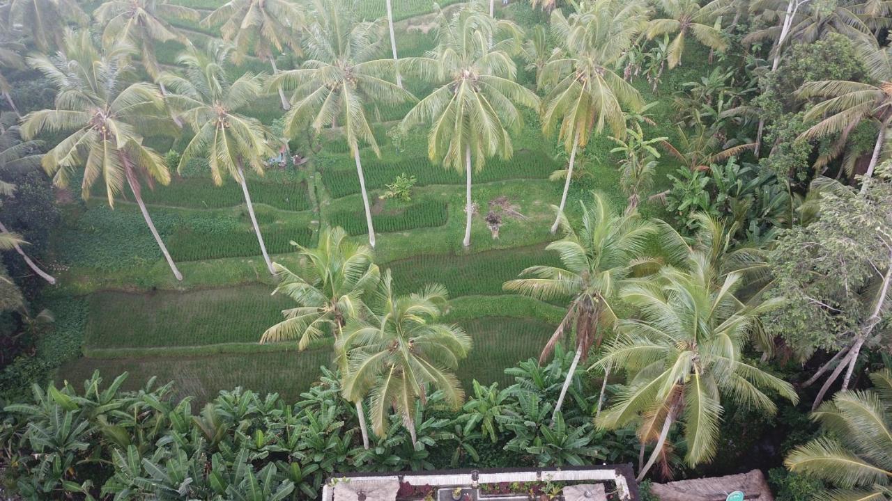 Vakantiepark Junjungan Ubud